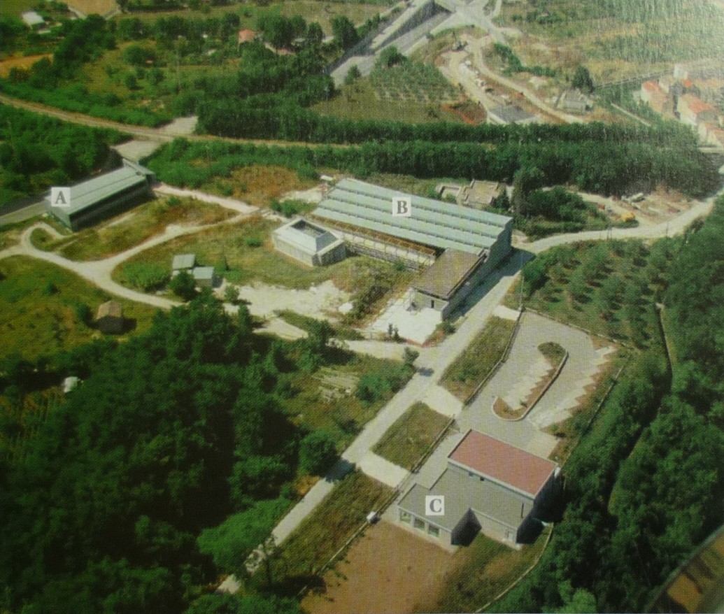 Paleosuperfice di Isernia La Pineta